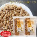 【送料無料】そのまま食べる塩はと麦 180g×2個 焙煎はと麦 おやつ おつまみ ハト麦 食べるはと麦 スナック菓子 うすしお味 ハトムギ 季折