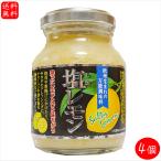 [ бесплатная доставка ] соль лимон 180g×4 шт Seto внутри производство лимон использование универсальный приправа yakiniku салат заправка соль ....... сезон .