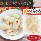 [ бесплатная доставка ] местного производства pili. rakkyou 120g×8 шт местного производства rakkyou солености tsukemono закуска рис. .. уксус .. сезон .