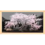 ¥ï¥¤¥É ¥Ó¥å¡¼¡¡¡¡¡¡sakura¡¡¡¡¡¡0001¡¡¡¡¡¡¡¡WIDE 1¡¡ÈÇ¡¡¡¡Ï»µÁ±à¡¡¡¡Åìµþ