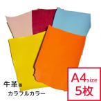 革はぎれ カラー おまかせセット約A