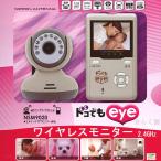 [ распродажа сделал ] Япония антенна 2.4GHz беспроводной камера монитор комплект doko тоже eye NSM9020
