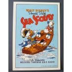# открытка Дональд. море .. за границей импорт Disney Vintage зарубежный. не использовался открытка 