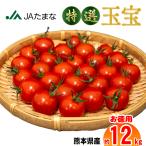 熊本県産 特選ミニトマト玉宝12kg(3kg箱×4) <JA直送> 送料無料 プチトマト お弁当の彩り ヘルシーおやつ フルーツのように甘い JAたまな 産地直送