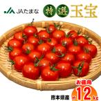 ショッピングトマト ミニトマト（セット販売4箱）送料無料☆九州・熊本県ＪＡ玉名の名産です。