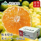[ предварительный заказ распродажа ] Kumamoto префектура производство высшее . сырой мандарин [.. ....] примерно 5kg сахар раз 11 раз и больше маленький шар превосходящий товар сельское хозяйство .