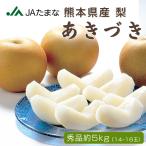[ предварительный заказ товар ] Kumamoto префектура производство груша ....5kg(14~16 шар ввод ) мир груша .... груша JA прямая поставка 