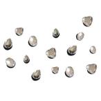 ジビッツ10個セット380円★大人気　靴を飾るキラキラアイテム★