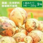  пестициды * химия удобрение * убийца сорняков не использование шар лук порей 1kg * шар лук порей. размер. 1 шт на 140g~220g[ здоровье поддержка сельское хозяйство .]