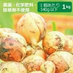  пестициды * химия удобрение * убийца сорняков не использование шар лук порей 1kg * шар лук порей. размер. стандарт 1 шт на 140g и меньше [ здоровье поддержка сельское хозяйство .]