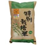 特別栽培米・新篠津あやひめ 白米 （5kg） 【ムソー】