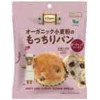 オーガニック小麦粉のもっちりパンオーガニックレーズン （1個） 【ノースカラーズ】