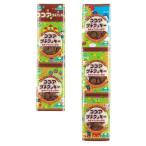 ココアプチクッキー （9g×5） 【サンコー】