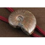  петля Thai fire - Anne mo Night 