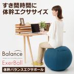 バランスボール 椅子 体幹バランスエクサボール 約55cm ブラウン/ネイビー カバー 台座付き 空気入れ付き 体幹トレーニング ヨガボール