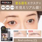 リアルアイブロウEX アイブロウ 日本製 眉毛エクステ 眉メイク 眉マスカラ アイブロウジェル アイブロー ファイバー入り 眉毛描き足し 自眉風 眉毛薄い