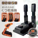  обувь сушильная машина 2024 обувь осушитель дезодорирующий устранение бактерий озон устранение бактерий функция таймер c функцией PSE засвидетельствование завершено ботинки спортивные туфли осушитель запах предотвращение бесплатная доставка День почитания пожилых людей подарок 