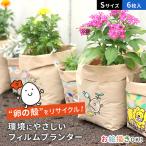 teine home плёнка посадочная машина Tama. .S размер 6 шт. комплект ( посадочная машина модный наружный садоводство симпатичный легкий ) немедленная уплата 