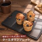 クールダウンプレート(粗熱 プレート 調理 時短 温度 冷ます クールプレート 粗熱取り 冷却プレート クーリングプレート)