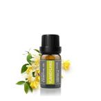 ショッピングパーソナルケア製品 Cywinfow イランイラン精油 アロマオイル 100％天然植物由来 イランイランエッセンシャルオイル 10ml (標準サイズ)