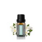 Cywinfow ジャスミン精油 アロマオイル 100％天然植物由来 ジャスミンエッセンシャルオイル 10ml (標準サイズ)