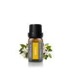 Cywinfow ネロリ精油 アロマオイル 100％天然植物由来 ネロリエッセンシャルオイル 10ml(標準サイズ)