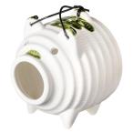 ショッピング蚊取り線香 アンドエヌイー(&NE) 萬古焼 蚊やりぶた 白 幅14cm×奥行13.5cm×高さ16cm 蚊取り線香入れ 日本製 豚 蚊遣り器 ホルダー 陶