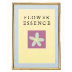  Rodan na metal рама BK1-C