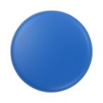 メール便発送 プラス カラーマグネット φ30mm 5個入 ブルー CP-030M