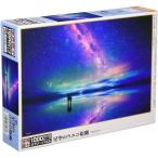 ビバリー ジグソーパズル 1000マイクロピース M81-566 星空のウユニ塩湖