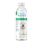 ファンタジーワールド