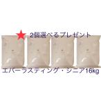 アーガイルディッシュ正規販売店　新賞味期限8月末　　エバーラスティング・シニア16kg オーガニック　