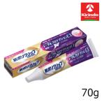 Haleon Japan новый поли рукоятка Total protection EX 70g