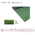  greenfield задний Lee брезент Short 16mm 2m×5m RET16FR-2-5K настоящий газонная трава сырой roll 