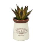  Восток камень . искусственная зелень поддельный план to#82142