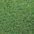  kilo стиль оригинал искусственный газон KST-01 ширина 1m×10m #5521521 [ настоящий газонная трава сырой roll сделано в Японии ]