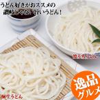 うどん 桐生うどん(半生)4袋+波打うどん(半生)2袋(つゆ6袋付)セット