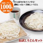 うどん 桐生うどん 130g×2袋 ＋ ひも