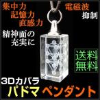 3Dカバラ・パドマペンダント/奇跡のコイルBLACK EYEブラックアイの医学博士丸山修寛監修/電磁波防止/生命エネルギー/集中力/記憶力/直感力