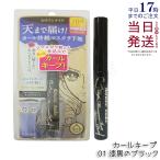 ヒロインメイク マスカラ カールキープ マスカラベース WP 01 クリアブラック ウォータープルーフ KISS ME キスミー カールマスカラ 伊勢半 カール