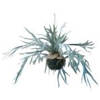 人工観葉植物ビカクシダハンギングボ...