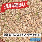 令和7年産 コシヒカリ 兵庫県産 色選小米 Mirakana 減農薬 ネオニコチノイド不使用米 玄米0.5kg・0.9kg・2kg・5kg・10kg 鳥の餌 小鳥のえさ