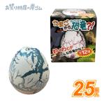 たまごから恐竜?!(25個)#F3{縁日 景品 祭り おもちゃ 射的景品 輪投げ景品 自立する 倒れる おもちゃ 箱のおもちゃ 店頭受取で送料無料 }