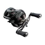ダイワ ２４スティーズＳＶ　ＴＷ　１００ＨＬ