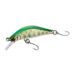  Shimano lif дождь 45XS BOTTOM Spec ZN-245X 013 aluminium Gris gold 