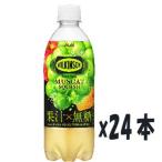 アサヒ　ウィルキンソン タンサン　マスカットスカッシュ　490ml x24本