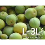  нет пестициды юг высота слива синий слива L-3L размер 3kg Wakayama префектура производство сливовое вино для 