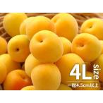 .. юг высота слива 4L размер 2kg Wakayama префектура производство маринованные сливы . для 