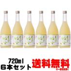 梅乃宿 あらごしクールゆず酒 8度 720ml 6本 送料無料 2023年発売分 数量限定 梅乃宿酒造 奈良県 梅の宿