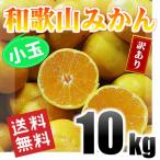 和歌山みかん 小玉 訳あり 10kg 和歌山県産 送料無料(北海道、沖縄県、東北地方除く) ミカン みかん 蜜柑 温州みかん ご自宅用 家庭用 果物 柑橘 産地直送 食品